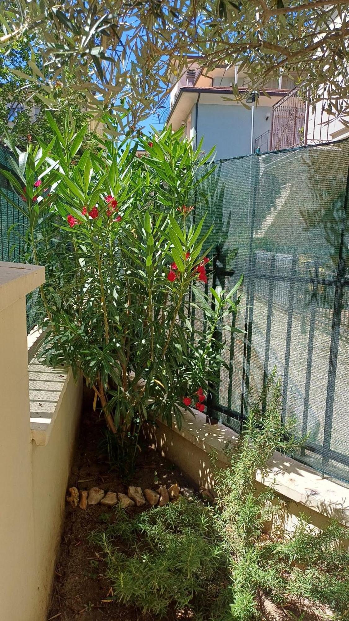 Residence Ducale Rimini Luaran gambar